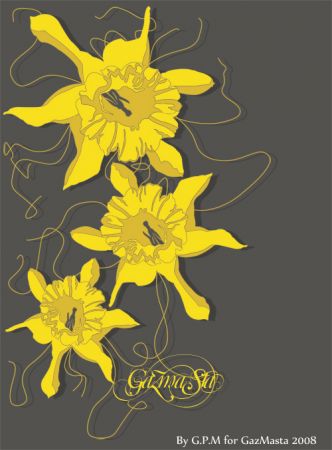 visuel-flowa-gazmasta.jpg