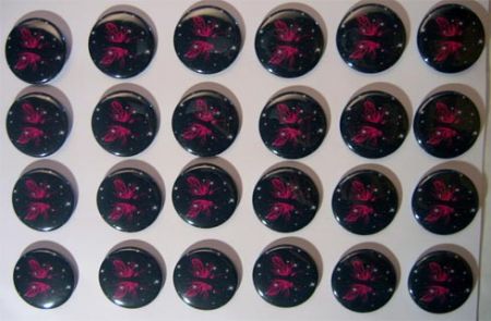 badge-flyshin-pour-gazmasta
